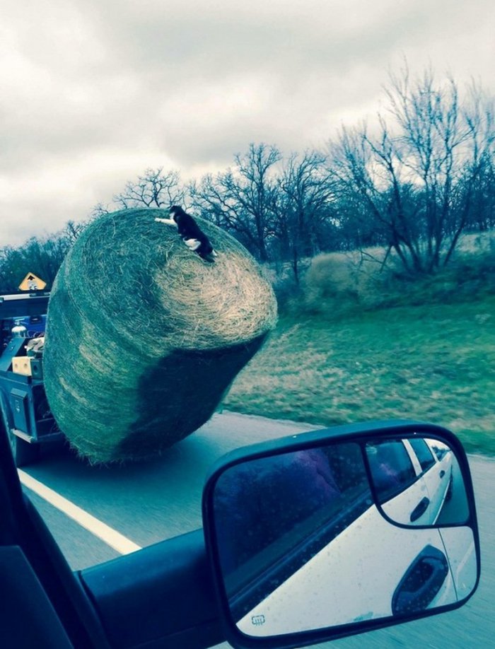 фото случившейся неприятности