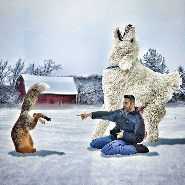 собака великан фотошоп