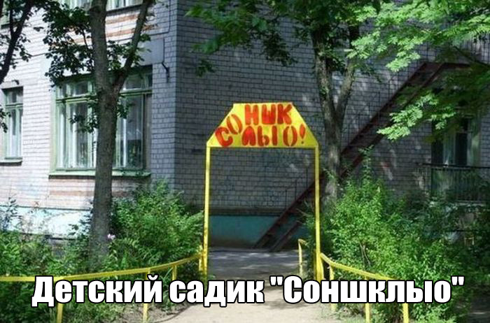 смешные картинки