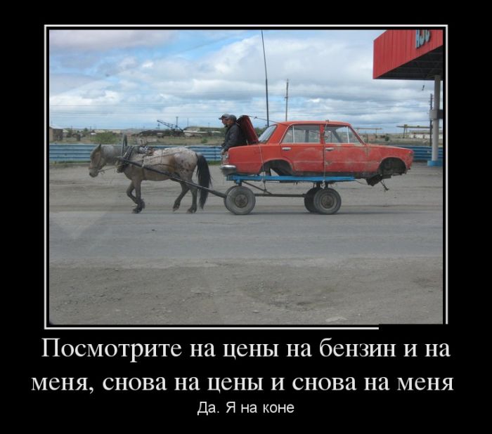 Демотиваторы