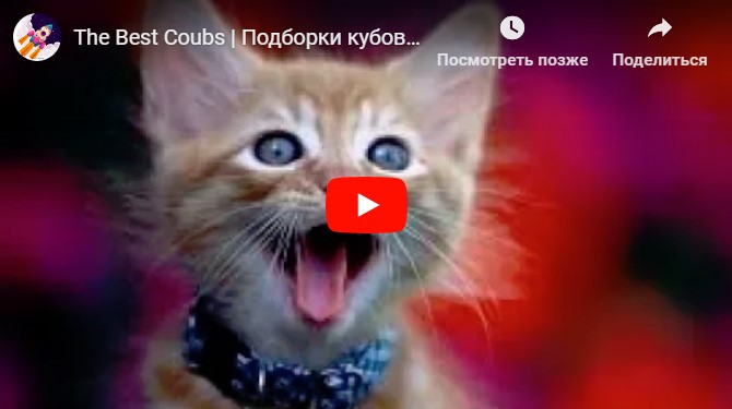 Лучшие приколы - The Best Coubs