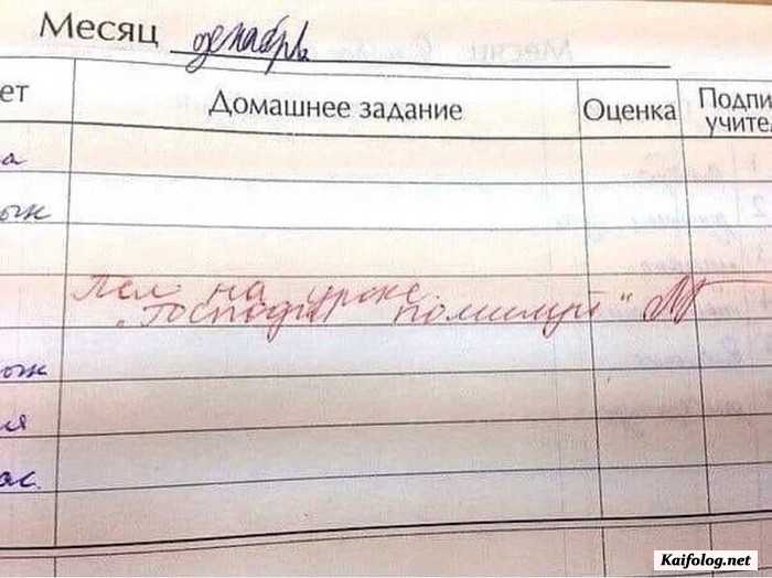 замечание в дневнике