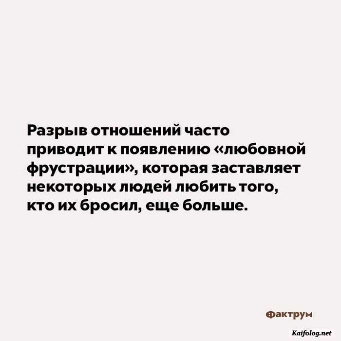 картинка занимательный факт