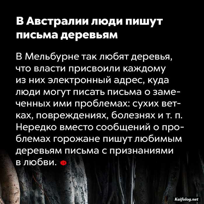 занимательный факт картинка