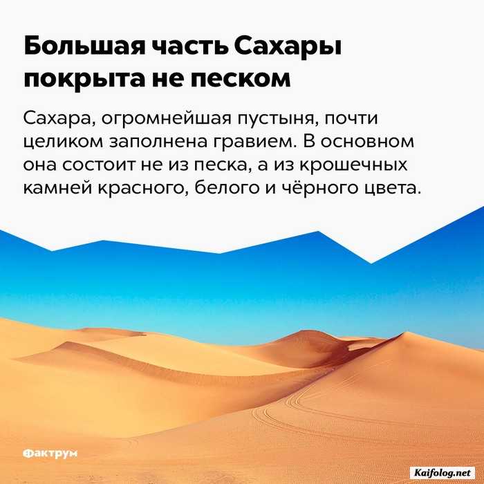 факт интересно картинка