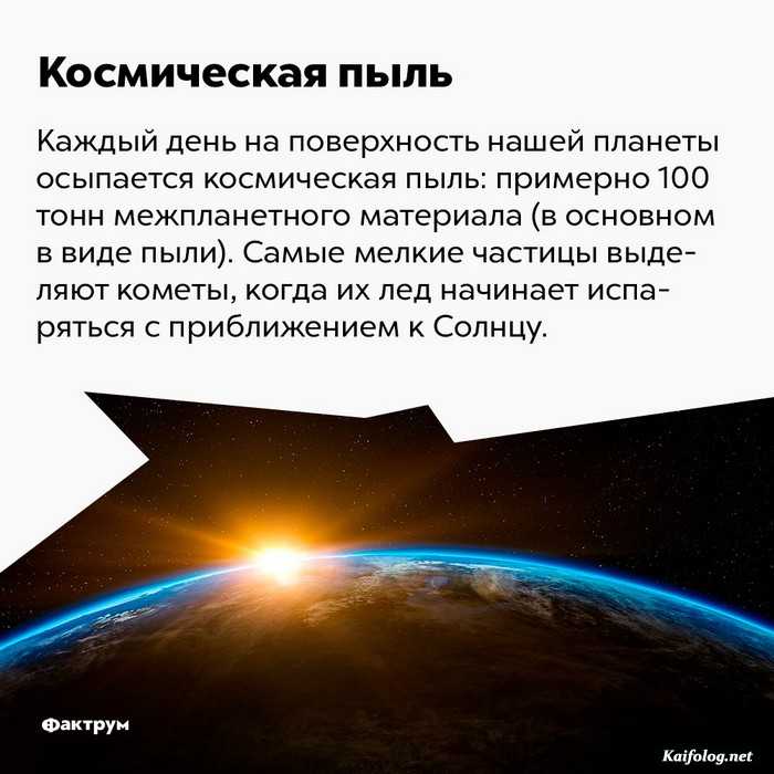 факт интересно