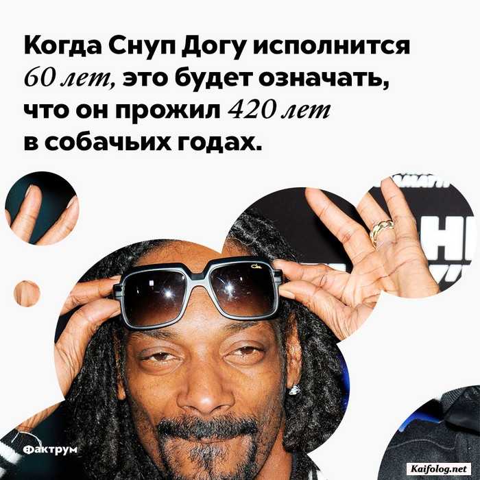 интересный факт