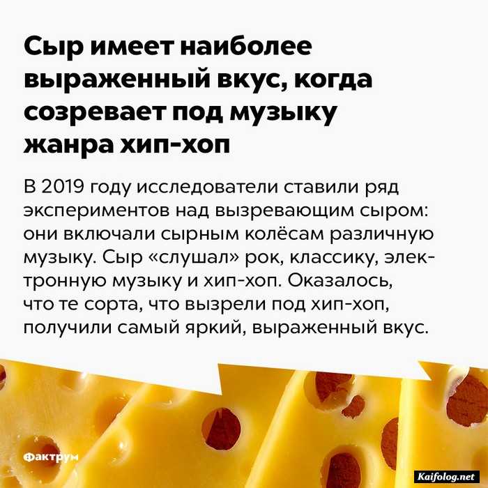 интересный факт