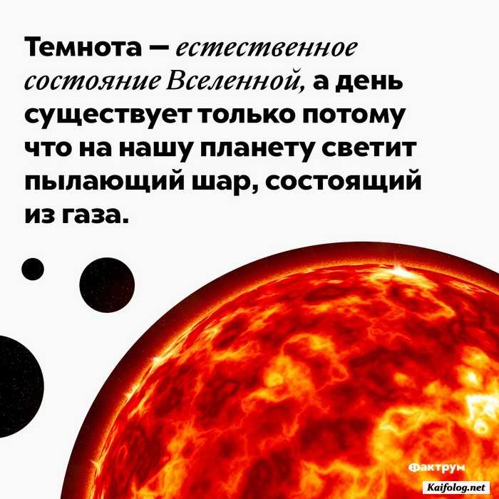 факт интересно