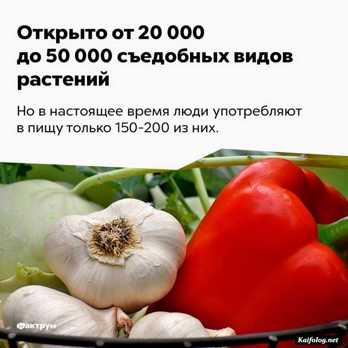 факт интересный