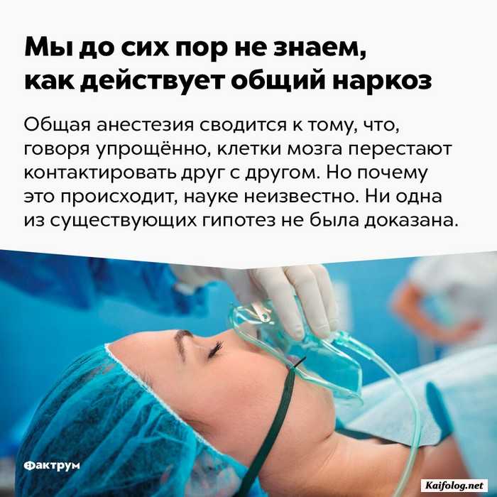 факт интересный