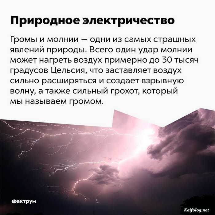 факт интересный