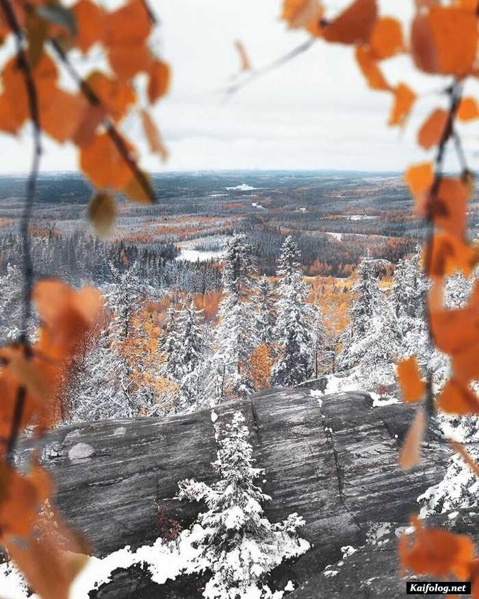 фото красивый зимний пейзаж