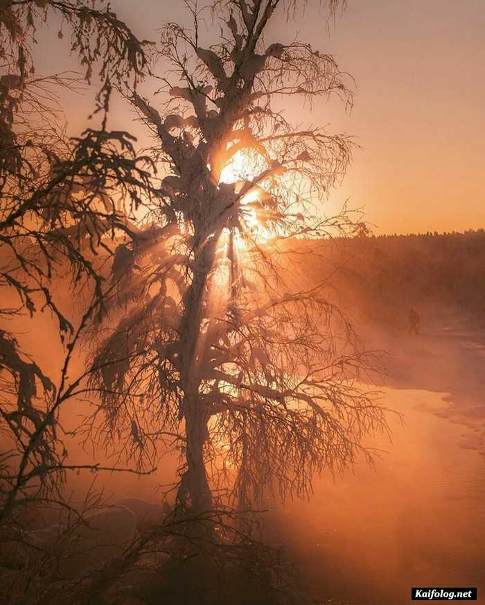 фото красивый зимний пейзаж