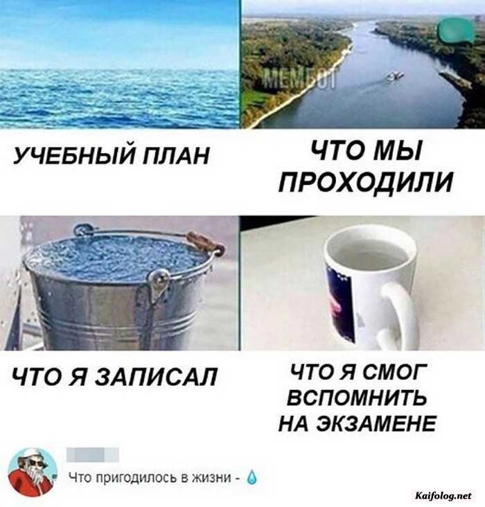 прикольная картинка