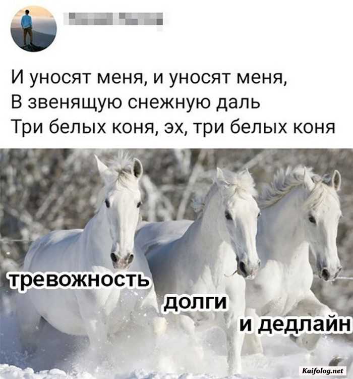 Слова песен три коня. И уносит меня. И уносят меня три белых коня. Три белых коня прикол. Мем про 3 белых коня.
