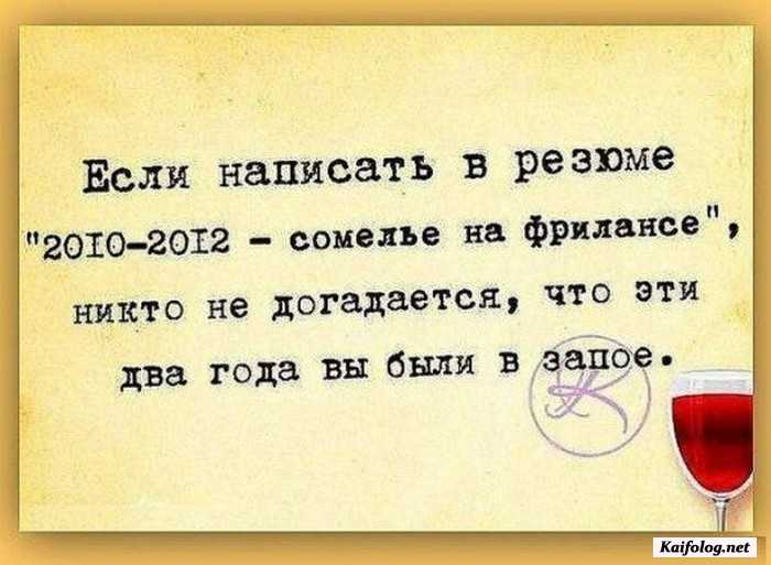 Сомелье на фрилансе. Высказывания о вине с юмором. Сомелье юмор. Смешные цитаты про резюме.