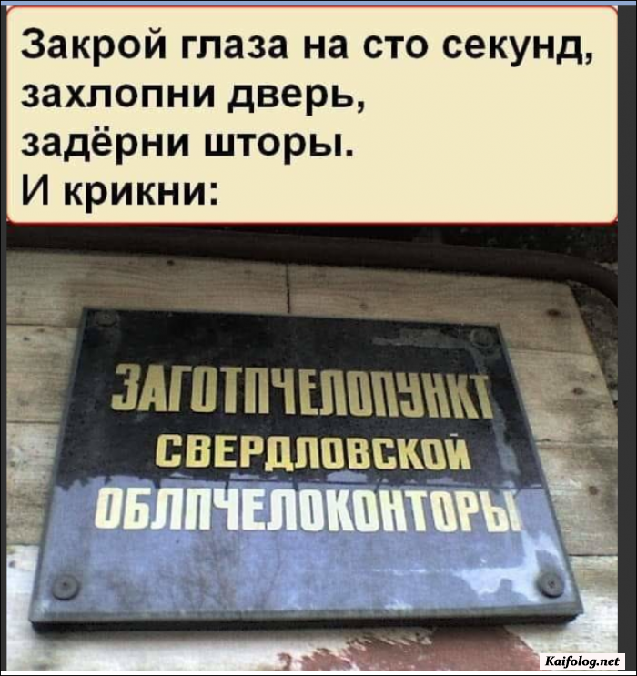 прикольная картинка