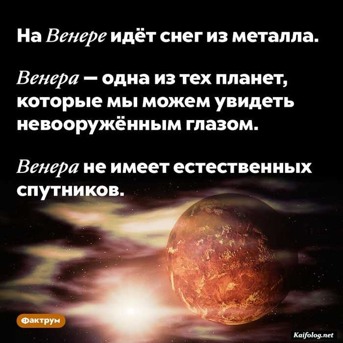 факт