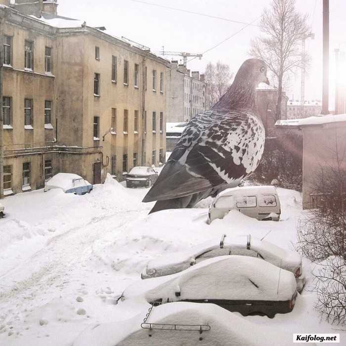 сюрреализм Вадима Соловьева