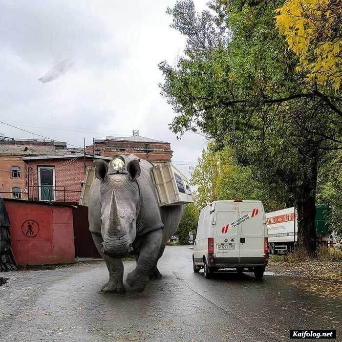 сюрреализм Вадима Соловьева