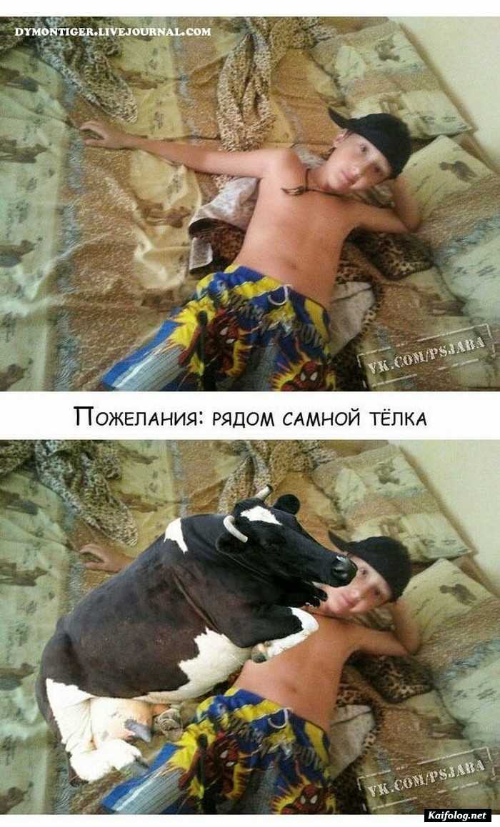 юмор фотошоп