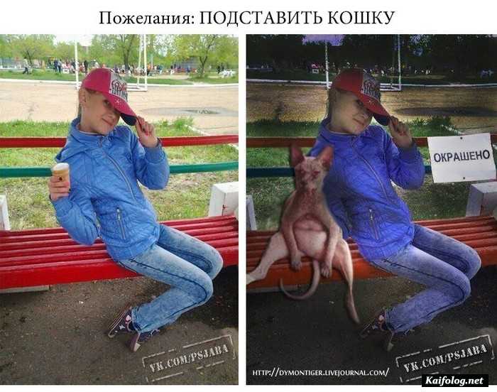 юмор фотошоп