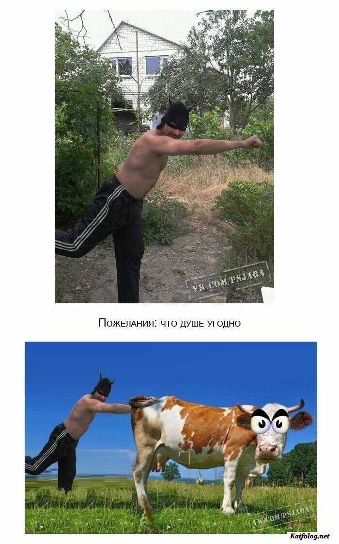 юмор фотошоп