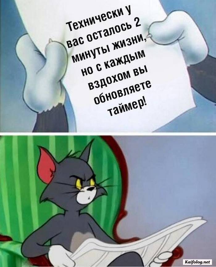 прикол на картинке