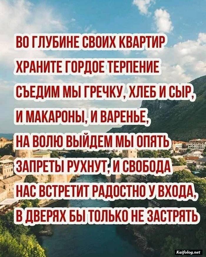 юмористическая картинка