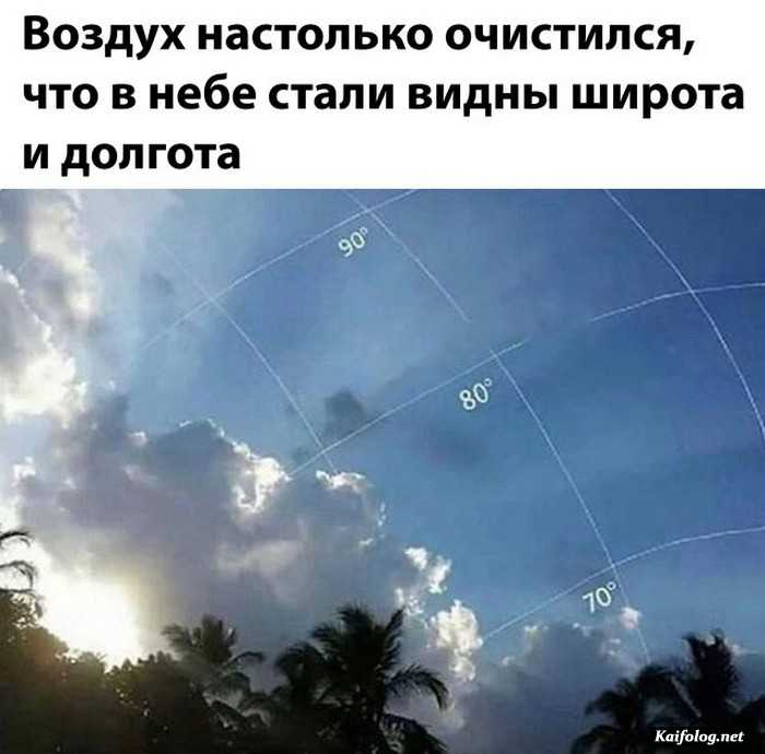 юмористическое фото