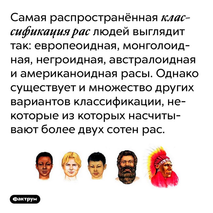 факт