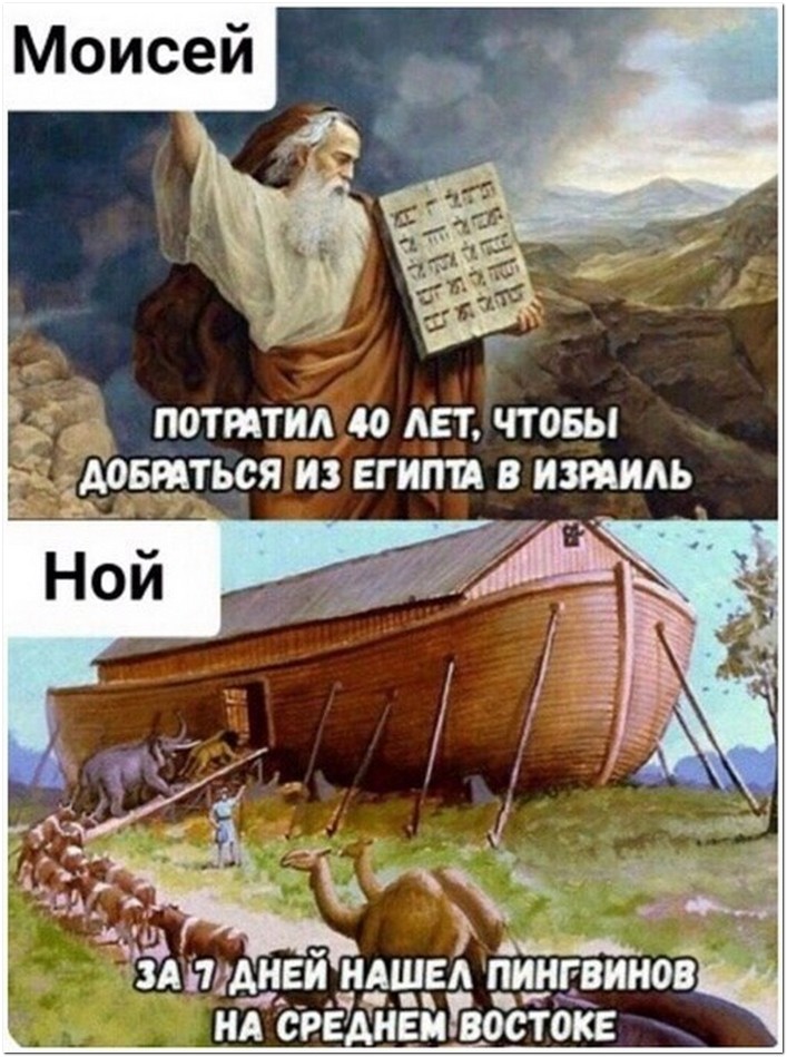 Ной не ныл и ты не ной картинка