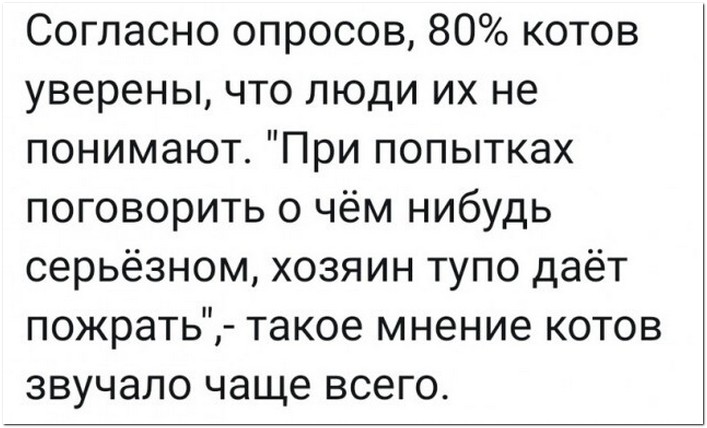 Вот и поговорили картинки прикольные