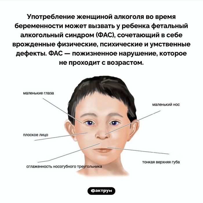 Интересные факты обо всем (очередная подборка)